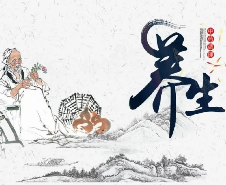 灵芝养生，究竟养什么？